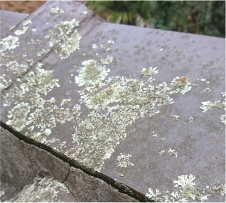Photo of a brown roof zoomed in with blemishes